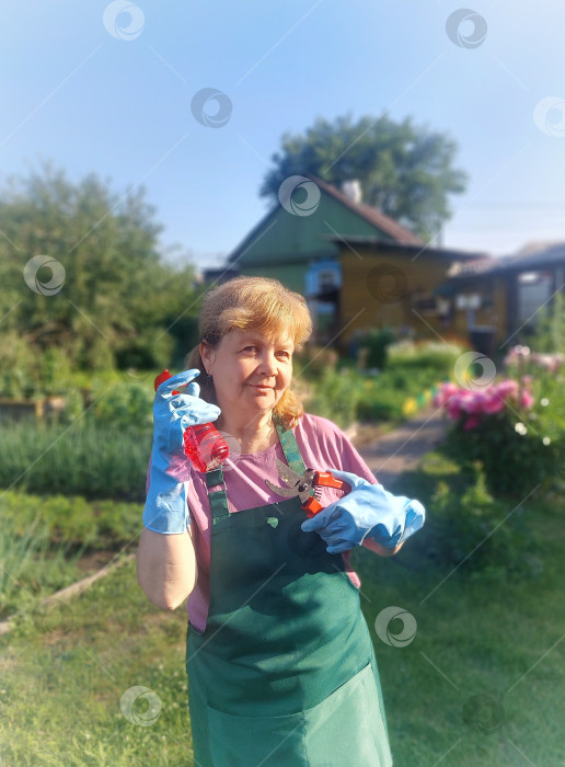 Скачать Опрыскивание и подрезка деревьев,борьба с вредителями растений,огородная жизнь. фотосток Ozero