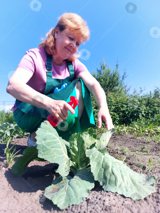 Скачать Работа на огороде фотосток Ozero