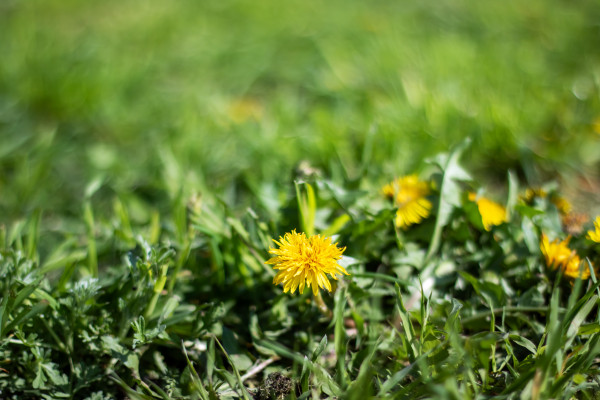 [object Object] undefined