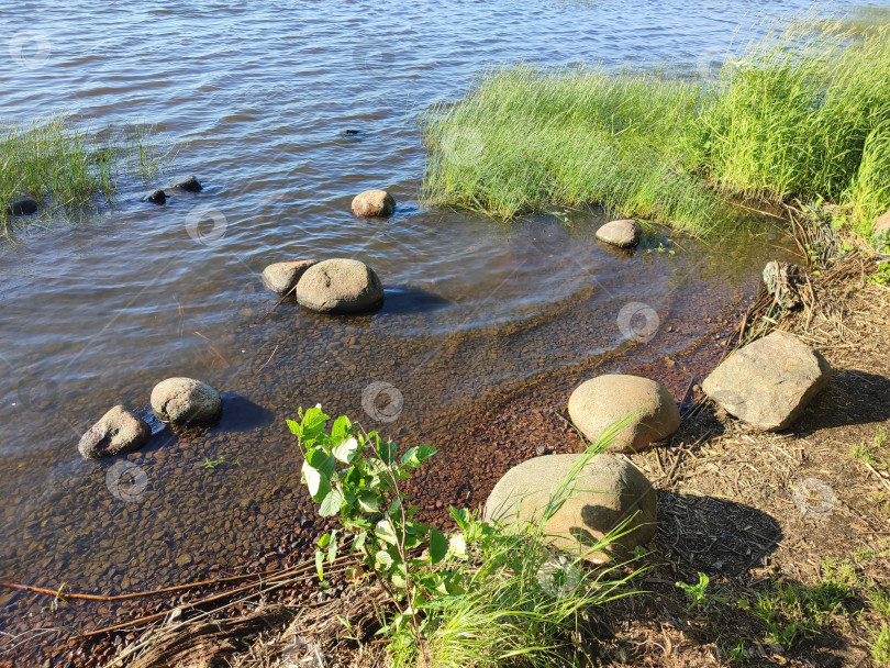 Скачать берег озера. прибрежные камни в воде фотосток Ozero