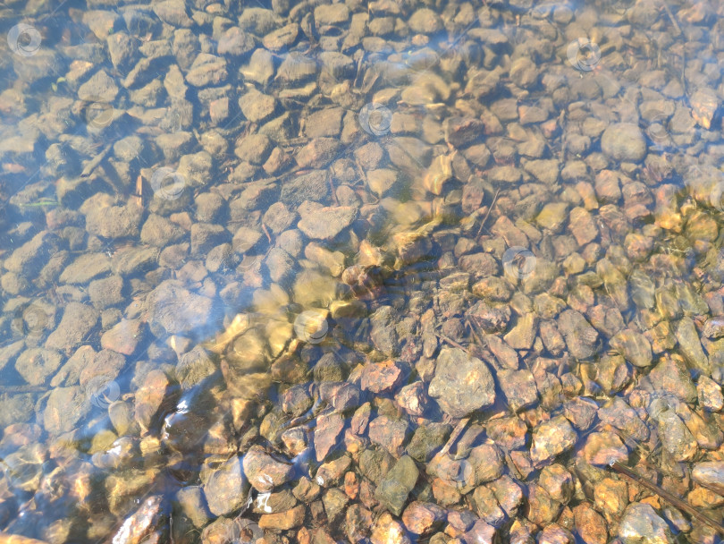 Скачать прибрежные камни в воде фотосток Ozero