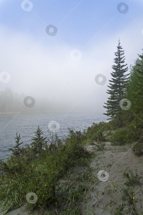 Скачать Туманное утро на берегу горной реки. фотосток Ozero