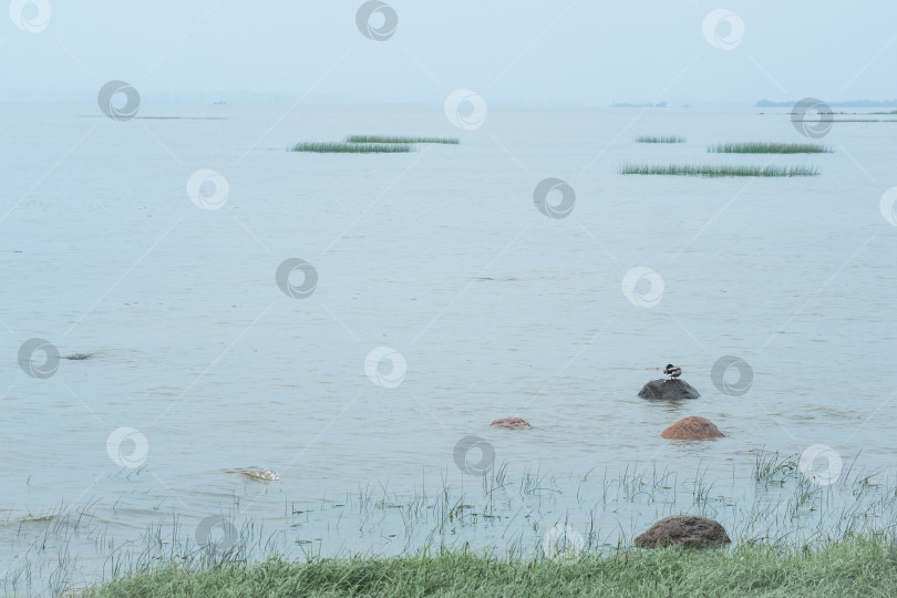 Скачать туманный морской пейзаж, природный фон, вид на Финский залив в дождливую погоду фотосток Ozero