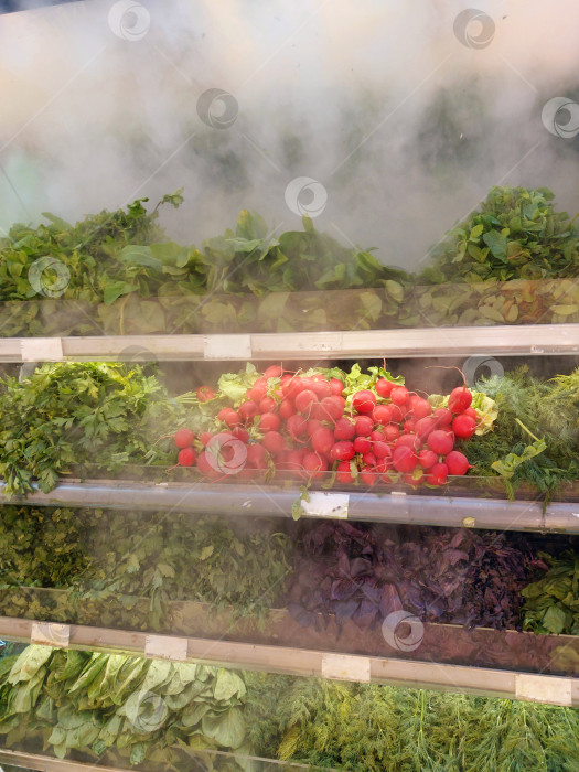Скачать Охлаждение зелени и овощей,поддержание свежести фотосток Ozero