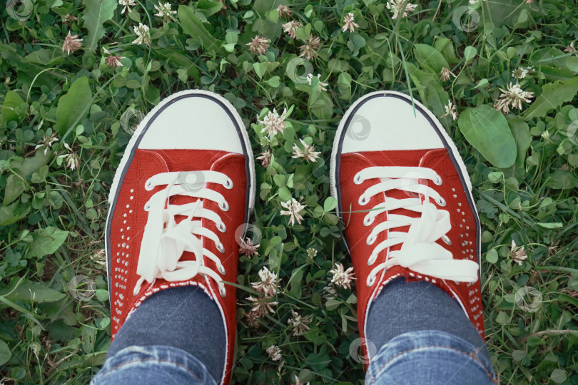Скачать Красные кроссовки с белыми шнурками стоят на зеленой траве. Отдых на природе, физические упражнения на свежем воздухе, выборочный мягкий фокус фотосток Ozero