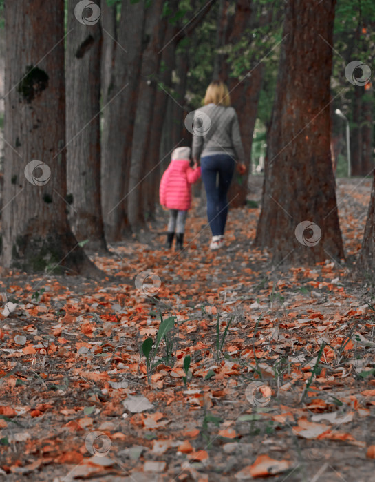 Скачать Мама и дочь гуляют по парку, держась за руки. Деревья искусственно посажены в рядах. Опавший лист на земле. Семья, мать и дочь. Избирательный фокус. Фотография размыта. Не в фокусе по замыслу. фотосток Ozero