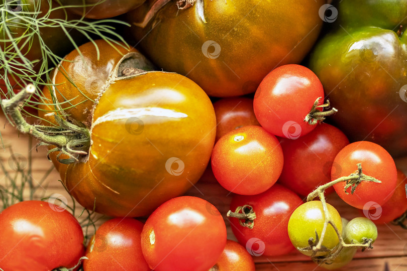 Скачать Спелые овощи с зеленью на деревянном фоне.Урожай с огорода фотосток Ozero