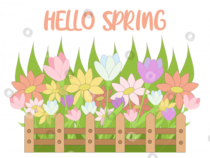 Скачать весенние цветы в палисаднике фотосток Ozero