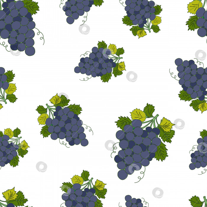 Скачать узор из грозди голубого винограда фотосток Ozero