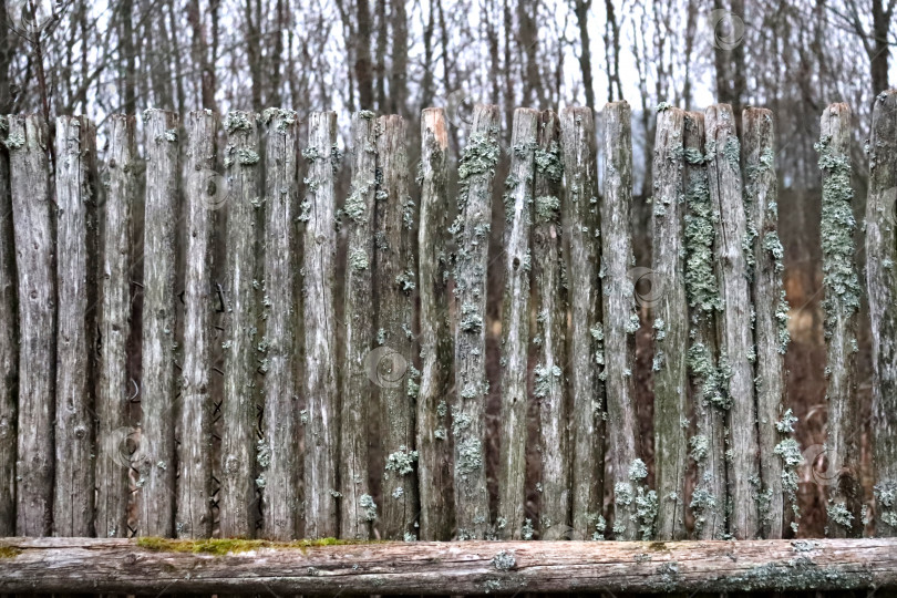 Скачать фон для фотографии старый забор из деревянных кольев фотосток Ozero
