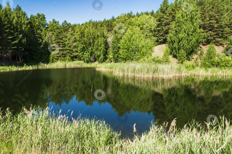 Скачать Летний природный пейзаж. фотосток Ozero