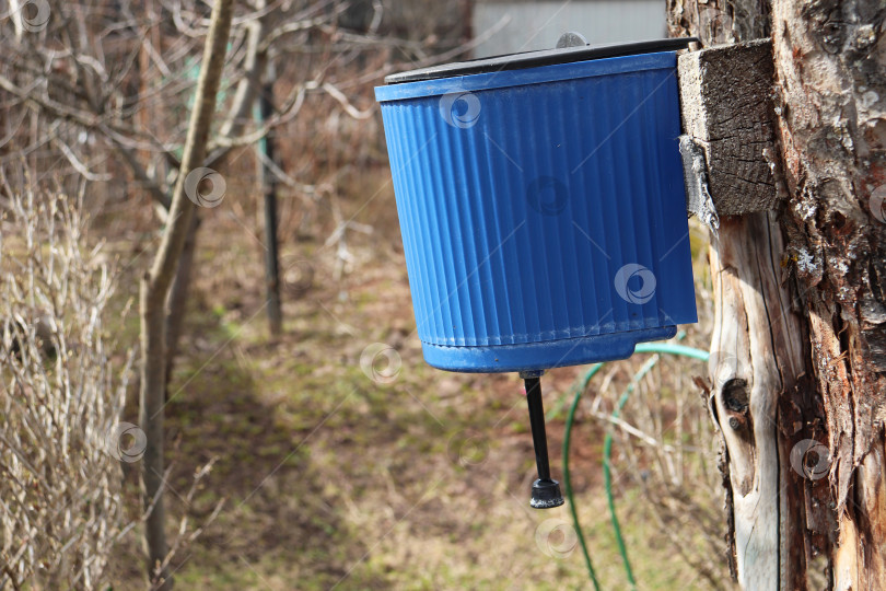Скачать синий пластиковый умывальник на дереве фотосток Ozero