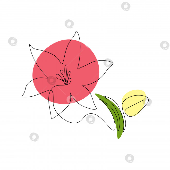 Скачать Непрерывный рисунок лилии с цветными фигурами фотосток Ozero