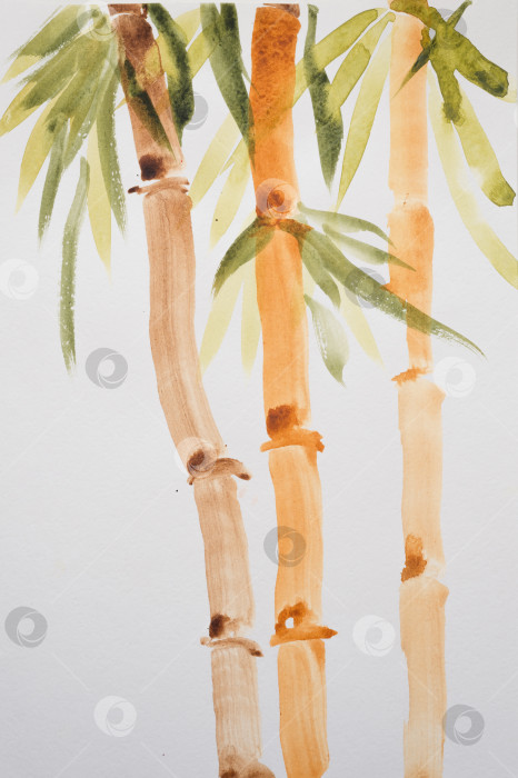 Скачать детский акварельный рисунок своими руками на текстурированной бумаге - заросли растущего бамбука со стволами и листьями. свободная китайская живопись в стиле свободной руки. детская художественная роспись ручной работы фотосток Ozero