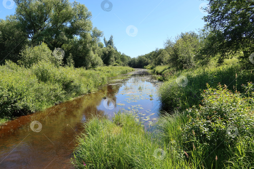 Скачать Верховья реки Медведица, г. Стан фотосток Ozero