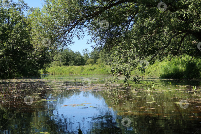 Скачать Верховья реки Медведица фотосток Ozero