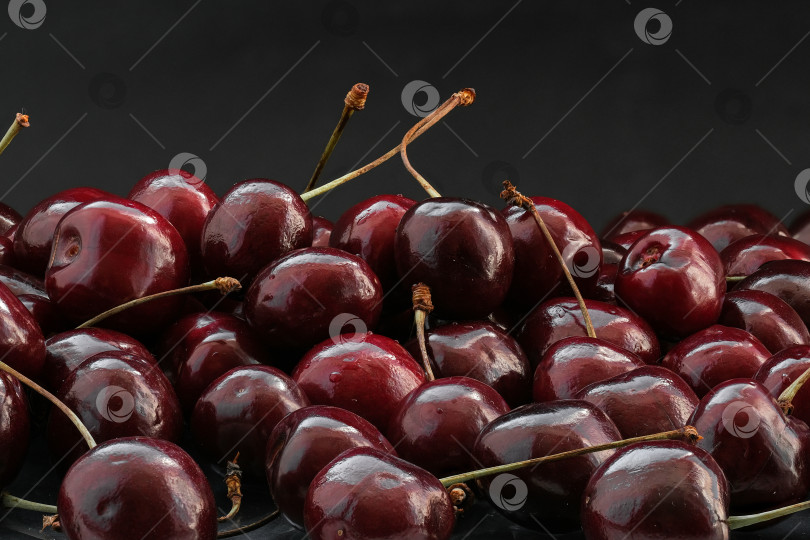 Скачать спелые вишни на черном фоне фотосток Ozero
