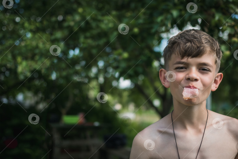 Скачать Маленький мальчик ест мясо на загородном участке фотосток Ozero