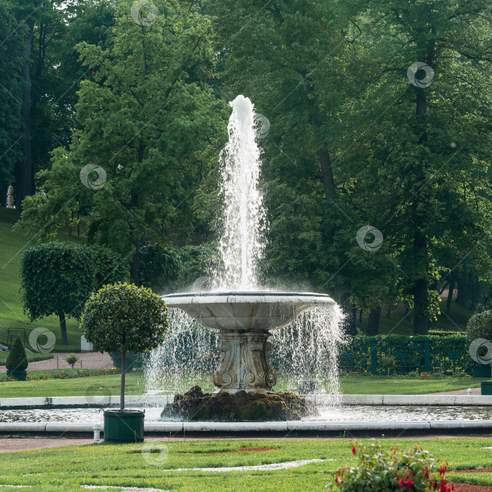 Скачать чаша фонтана в дворцовом парке Петергоф, Санкт-Петербург фотосток Ozero