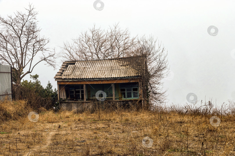 Скачать Старый дом в лесу, туманное утро. фотосток Ozero
