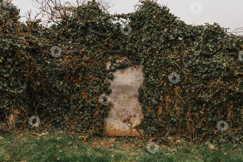 Скачать Железная дверь в каменном заборе. фотосток Ozero