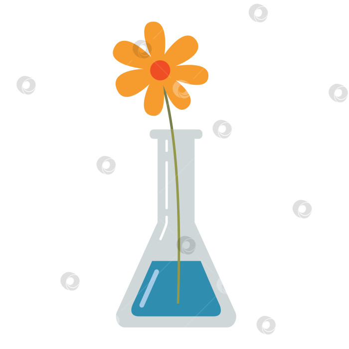 Скачать Лабораторная пробирка, колба с цветком. Прозрачная стеклянная посуда с химическими реактивами. Оборудование для экспериментов на уроках химии. Векторная иллюстрация, выделенная на белом плоском фоне фотосток Ozero