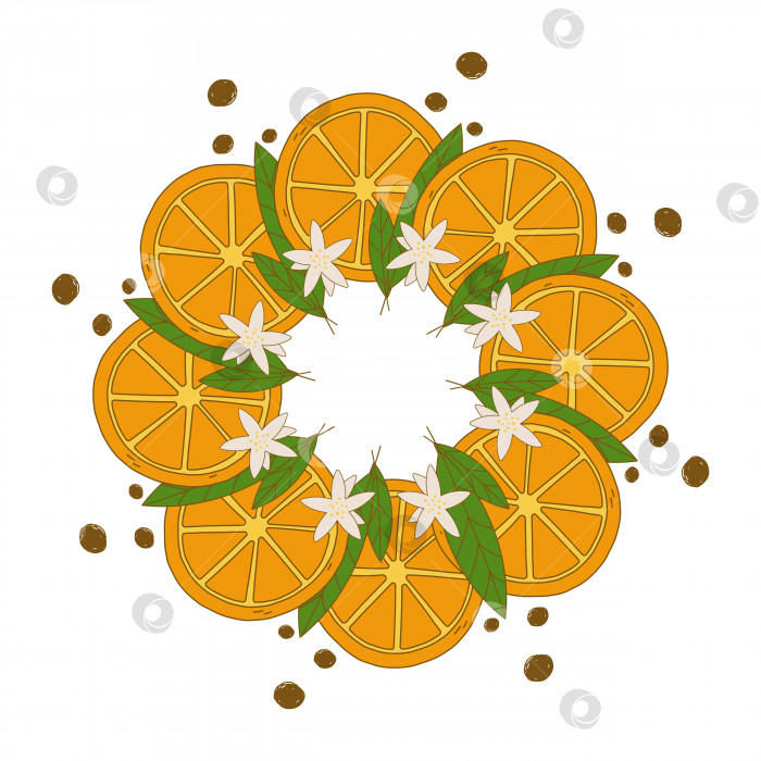 Скачать Круглая рамка с апельсинами, оставляющая место для текста фотосток Ozero