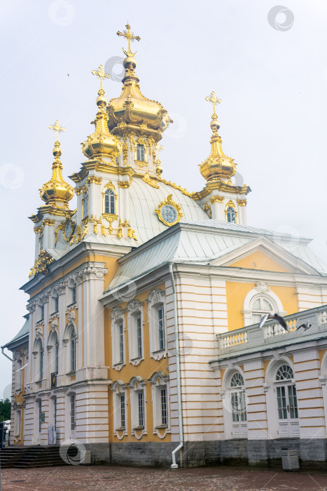 Скачать церковь Большого дворца в Петергофе, Санкт-Петербург фотосток Ozero