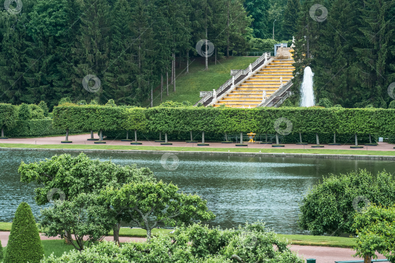 Скачать пейзаж дворцового парка Петергоф, Санкт-Петербург фотосток Ozero