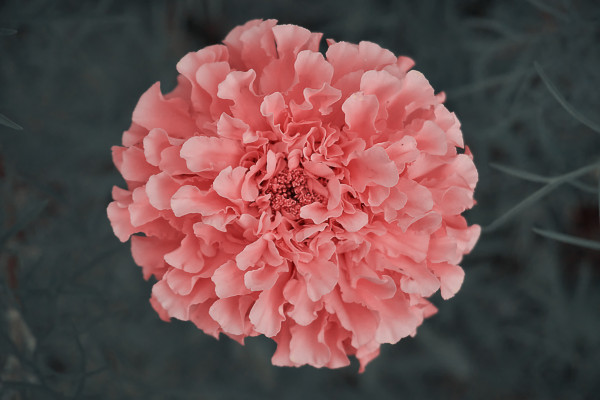 [object Object] undefined