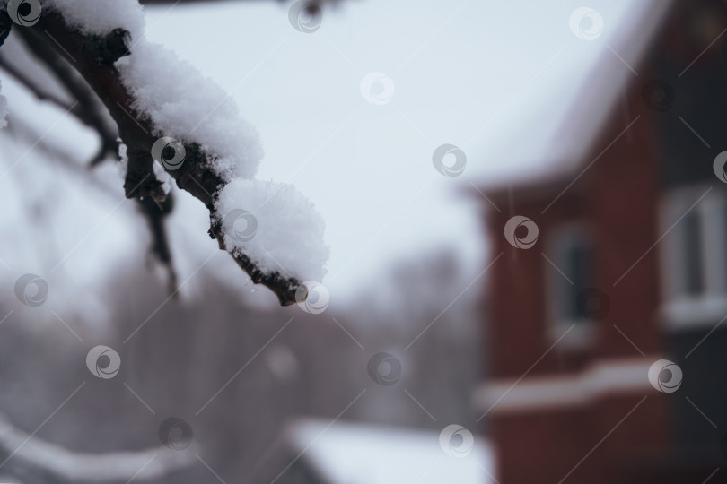 Скачать Зима, на ветвях лежит снег, вдалеке виднеется дом. Фон, мягкий селективный селективный фокус. Зимняя погода, время Нового года фотосток Ozero