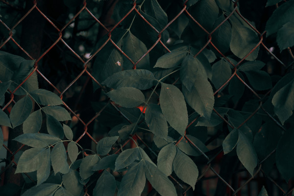 [object Object] undefined