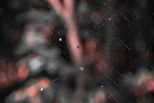 [object Object] undefined