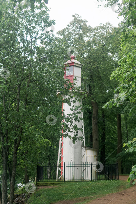 Скачать старый маяк на берегу моря среди деревьев фотосток Ozero