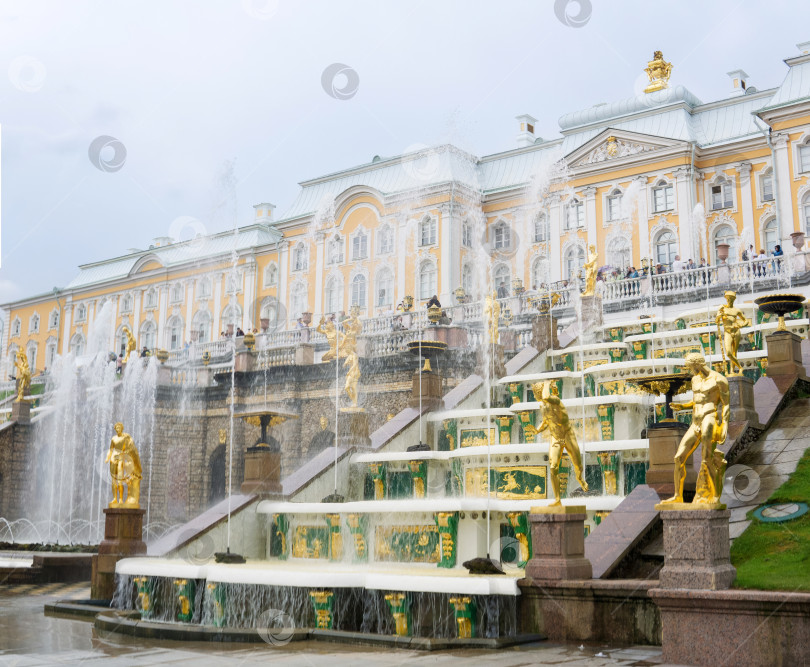 Скачать Большой каскад фонтанов в дворцовом парке Петергоф, Санкт-Петербург фотосток Ozero