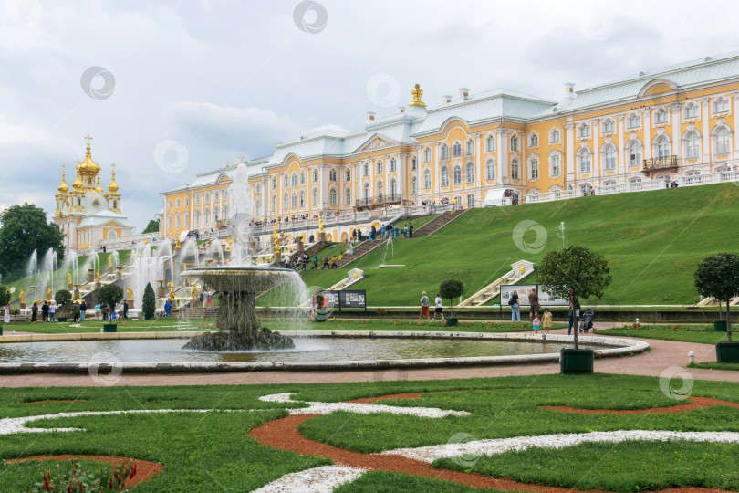 Скачать вид на дворцовый парк Петергоф, Санкт-Петербург фотосток Ozero