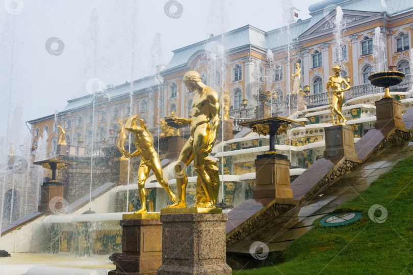 Скачать скульптуры в фонтанах дворцового парка Петергоф, Санкт-Петербург фотосток Ozero