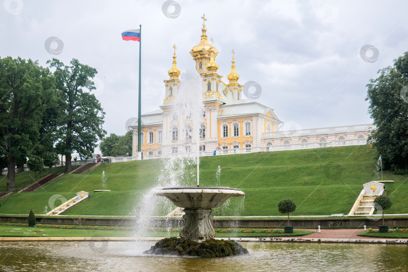 Скачать вид на фонтаны в дворцовом парке Петергоф, Санкт-Петербург фотосток Ozero