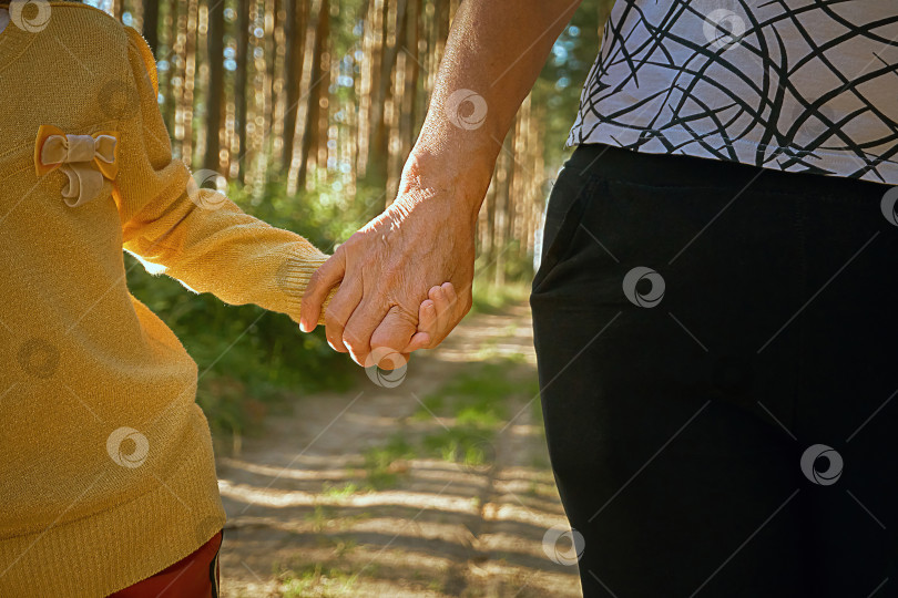 Скачать Два человека держатся за руки, старшее и младшее поколение людей, бабушка и внучка держатся за руки. Прогуляйтесь по парку на свежем воздухе фотосток Ozero