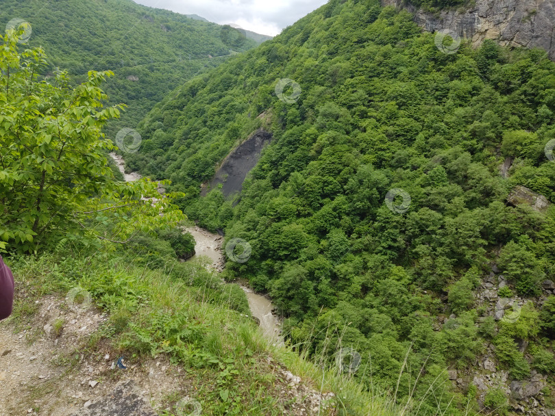 Скачать Горная река в лесистом ущелье фотосток Ozero