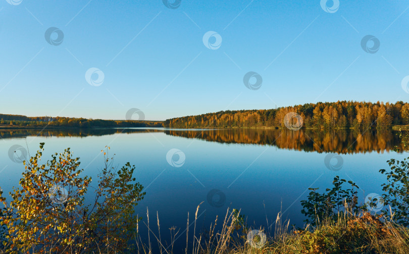 Скачать Голубое озеро среди леса и равнины. Осенний лес на берегу озера. Чистое голубое небо над спокойным озером. Место для отдыха и рыбалки фотосток Ozero