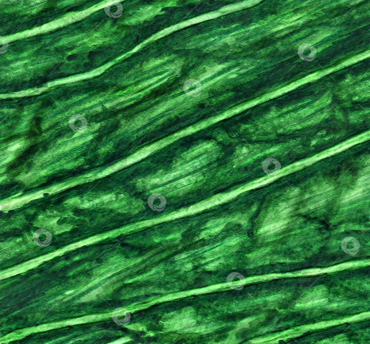Скачать Монохромная текстура зеленого листа с прожилками, расположенными под углом к фону. Имитация акварели. Иллюстрация. фотосток Ozero