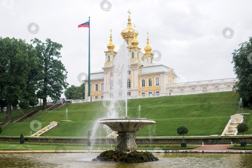 Скачать вид на фонтаны в дворцовом парке Петергоф, Санкт-Петербург фотосток Ozero