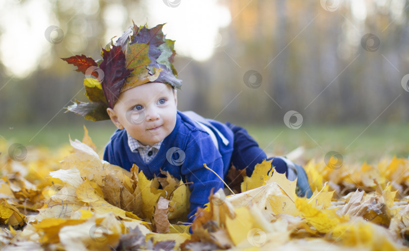Скачать Малыш в осенних листьях. Прекрасный маленький ребенок в желтой кленовой листве. фотосток Ozero