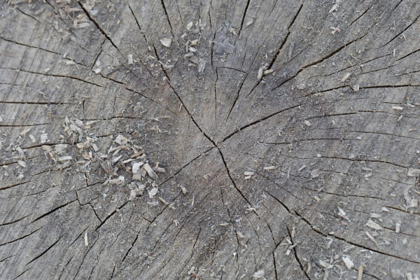 [object Object] undefined