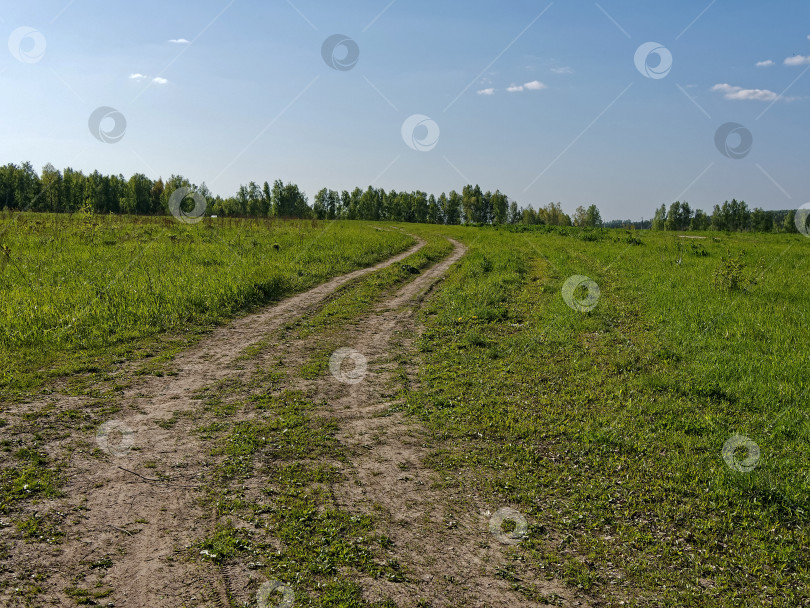 Скачать Грунтовая дорога в яркий весенний день фотосток Ozero