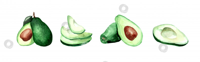 Скачать Акварельный рисунок авокадо фотосток Ozero