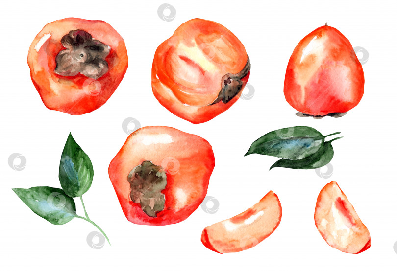 Скачать Иллюстрация фруктовой хурмы фотосток Ozero