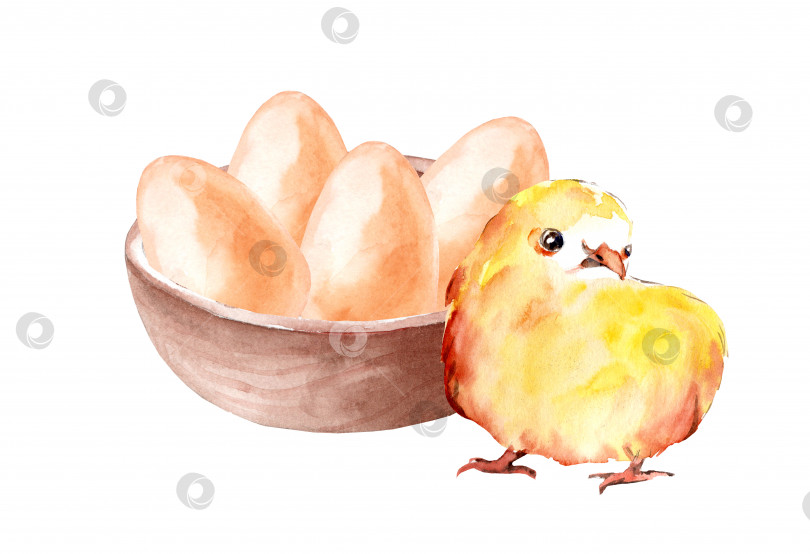 Скачать Куриные сырые яйца в деревянной миске и куриное филе фотосток Ozero