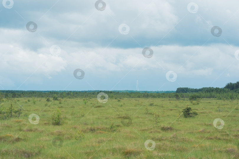 Скачать пейзаж торфяных болот с городом на горизонте фотосток Ozero